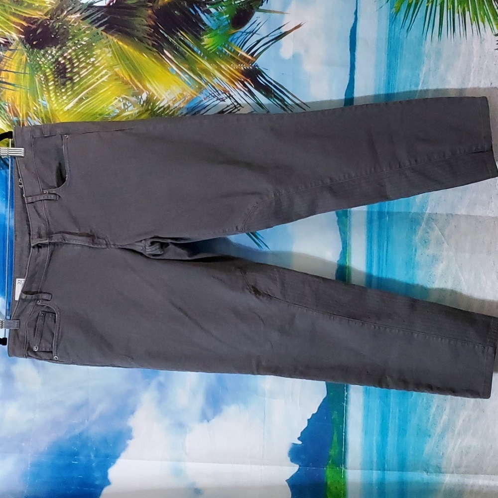 Gap 1969 women's denim size 33